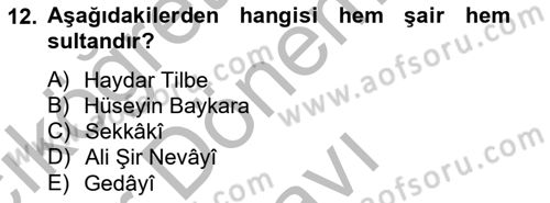XIV-XV. Yüzyıllar Türk Dili Dersi 2012 - 2013 Yılı (Final) Dönem Sonu Sınav Soruları 12. Soru