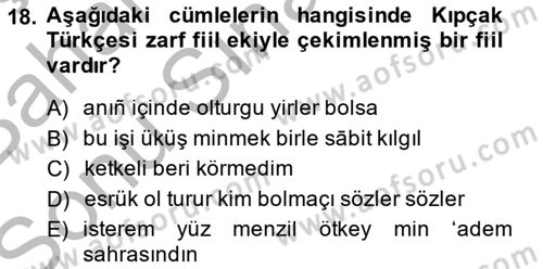 XIV-XV. Yüzyıllar Türk Dili Dersi 2013 - 2014 Yılı (Final) Dönem Sonu Sınav Soruları 18. Soru
