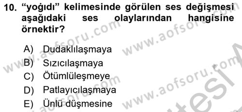 XIV-XV. Yüzyıllar Türk Dili Dersi 2016 - 2017 Yılı 3 Ders Sınavı 10. Soru