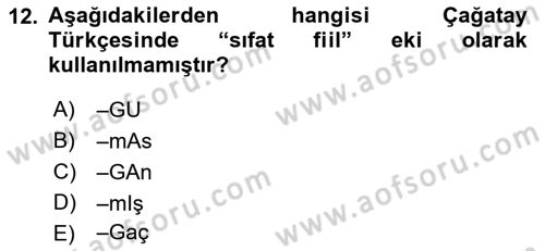 XIV-XV. Yüzyıllar Türk Dili Dersi 2016 - 2017 Yılı 3 Ders Sınav Soruları 12. Soru