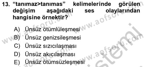 XIV-XV. Yüzyıllar Türk Dili Dersi 2016 - 2017 Yılı 3 Ders Sınavı 13. Soru