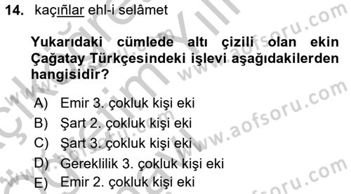 XIV-XV. Yüzyıllar Türk Dili Dersi 2016 - 2017 Yılı 3 Ders Sınavı 14. Soru