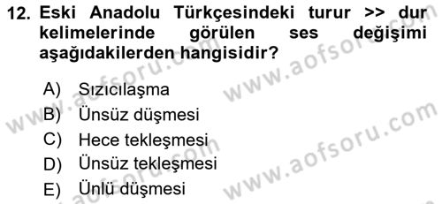 XIV-XV. Yüzyıllar Türk Dili Dersi 2016 - 2017 Yılı (Vize) Ara Sınav Soruları 12. Soru