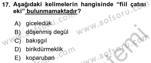 XIV-XV. Yüzyıllar Türk Dili Dersi 2016 - 2017 Yılı (Vize) Ara Sınav Soruları 17. Soru