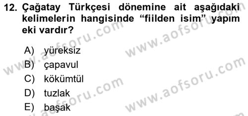 XIV-XV. Yüzyıllar Türk Dili Dersi 2016 - 2017 Yılı (Final) Dönem Sonu Sınavı 12. Soru