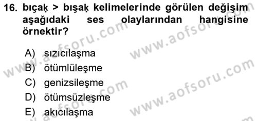 XIV-XV. Yüzyıllar Türk Dili Dersi 2016 - 2017 Yılı (Final) Dönem Sonu Sınavı 16. Soru