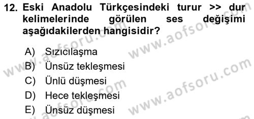 XIV-XV. Yüzyıllar Türk Dili Dersi 2017 - 2018 Yılı (Vize) Ara Sınav Soruları 12. Soru