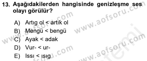 XIV-XV. Yüzyıllar Türk Dili Dersi 2017 - 2018 Yılı (Vize) Ara Sınav Soruları 13. Soru