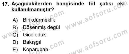 XIV-XV. Yüzyıllar Türk Dili Dersi 2017 - 2018 Yılı (Vize) Ara Sınav Soruları 17. Soru