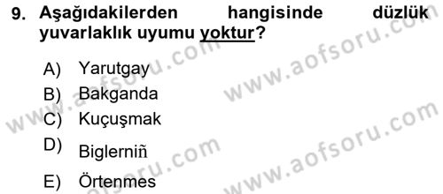 XIV-XV. Yüzyıllar Türk Dili Dersi 2017 - 2018 Yılı (Final) Dönem Sonu Sınav Soruları 9. Soru