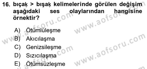 XIV-XV. Yüzyıllar Türk Dili Dersi 2018 - 2019 Yılı 3 Ders Sınavı 16. Soru