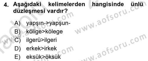 XIV-XV. Yüzyıllar Türk Dili Dersi 2018 - 2019 Yılı 3 Ders Sınav Soruları 4. Soru