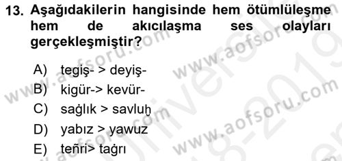 XIV-XV. Yüzyıllar Türk Dili Dersi 2018 - 2019 Yılı (Final) Dönem Sonu Sınav Soruları 13. Soru