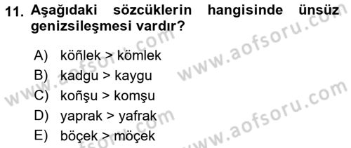XIV-XV. Yüzyıllar Türk Dili Dersi 2018 - 2019 Yılı Yaz Okulu Sınav Soruları 11. Soru