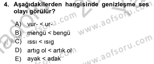 XIV-XV. Yüzyıllar Türk Dili Dersi 2018 - 2019 Yılı Yaz Okulu Sınav Soruları 4. Soru