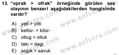 XIV-XV. Yüzyıllar Türk Dili Dersi 2021 - 2022 Yılı (Final) Dönem Sonu Sınav Soruları 13. Soru