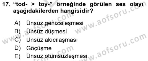 XIV-XV. Yüzyıllar Türk Dili Dersi 2021 - 2022 Yılı (Final) Dönem Sonu Sınav Soruları 17. Soru