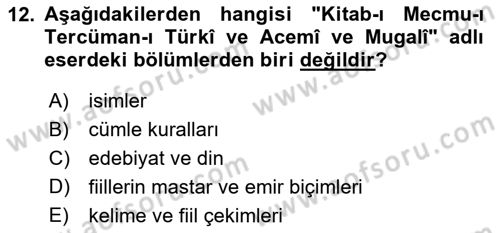 XIV-XV. Yüzyıllar Türk Dili Dersi 2021 - 2022 Yılı Yaz Okulu Sınav Soruları 12. Soru