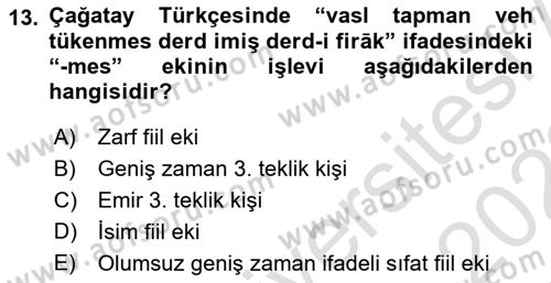 XIV-XV. Yüzyıllar Türk Dili Dersi 2021 - 2022 Yılı Yaz Okulu Sınav Soruları 13. Soru
