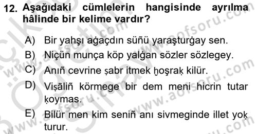 XIV-XV. Yüzyıllar Türk Dili Dersi 2022 - 2023 Yılı Yaz Okulu Sınav Soruları 12. Soru