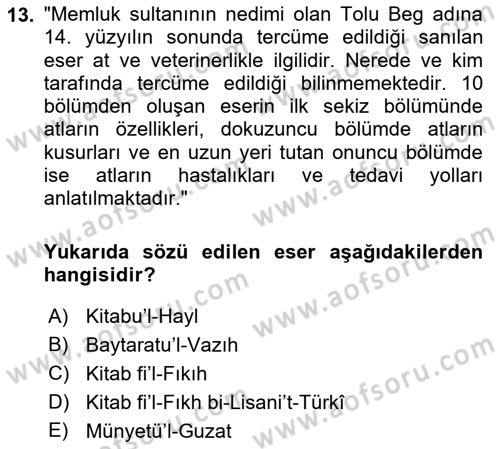 XIV-XV. Yüzyıllar Türk Dili Dersi 2022 - 2023 Yılı Yaz Okulu Sınav Soruları 13. Soru