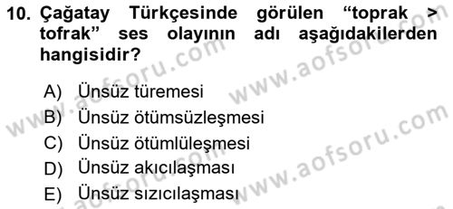 XIV-XV. Yüzyıllar Türk Dili Dersi 2023 - 2024 Yılı Yaz Okulu Sınav Soruları 10. Soru