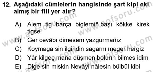 XIV-XV. Yüzyıllar Türk Dili Dersi 2023 - 2024 Yılı Yaz Okulu Sınav Soruları 12. Soru