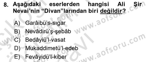 XIV-XV. Yüzyıllar Türk Dili Dersi 2023 - 2024 Yılı Yaz Okulu Sınav Soruları 8. Soru