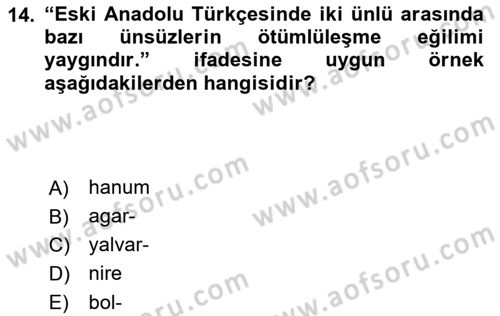 XIV-XV. Yüzyıllar Türk Dili Dersi 2024 - 2025 Yılı (Vize) Ara Sınav Soruları 14. Soru