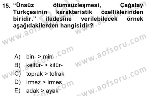 XIV-XV. Yüzyıllar Türk Dili Dersi 2024 - 2025 Yılı (Final) Dönem Sonu Sınav Soruları 15. Soru