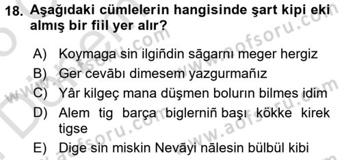 XIV-XV. Yüzyıllar Türk Dili Dersi 2024 - 2025 Yılı (Final) Dönem Sonu Sınav Soruları 18. Soru
