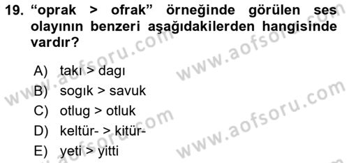 XIV-XV. Yüzyıllar Türk Dili Dersi 2024 - 2025 Yılı (Final) Dönem Sonu Sınav Soruları 19. Soru