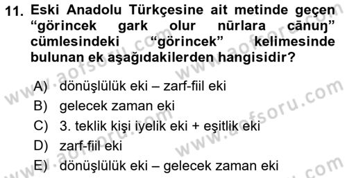 XIV-XV. Yüzyıllar Türk Dili Dersi 2024 - 2025 Yılı Yaz Okulu Sınav Soruları 11. Soru