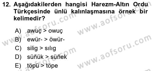XIV-XV. Yüzyıllar Türk Dili Dersi 2024 - 2025 Yılı Yaz Okulu Sınav Soruları 12. Soru