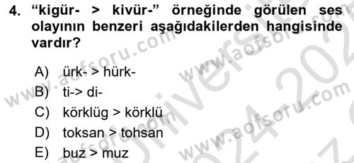 XIV-XV. Yüzyıllar Türk Dili Dersi 2024 - 2025 Yılı Yaz Okulu Sınav Soruları 4. Soru