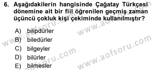 XIV-XV. Yüzyıllar Türk Dili Dersi 2024 - 2025 Yılı Yaz Okulu Sınav Soruları 6. Soru