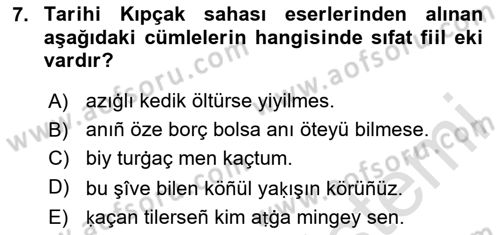XIV-XV. Yüzyıllar Türk Dili Dersi 2024 - 2025 Yılı Yaz Okulu Sınav Soruları 7. Soru