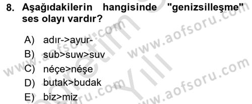 XIV-XV. Yüzyıllar Türk Dili Dersi 2024 - 2025 Yılı Yaz Okulu Sınav Soruları 8. Soru