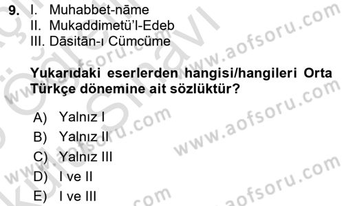 XIV-XV. Yüzyıllar Türk Dili Dersi 2024 - 2025 Yılı Yaz Okulu Sınav Soruları 9. Soru