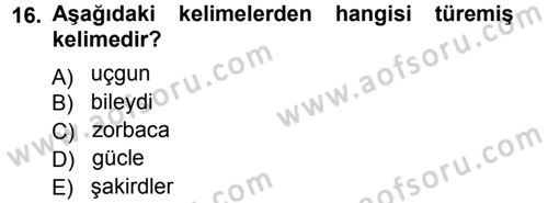 Çağdaş Türk Yazı Dilleri 1 Dersi Ara Sınavı Deneme Sınav Soruları 16. Soru