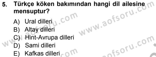 Çağdaş Türk Yazı Dilleri 1 Dersi Ara Sınavı Deneme Sınav Soruları 5. Soru
