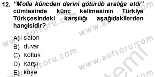 Çağdaş Türk Yazı Dilleri 1 Dersi 2014 - 2015 Yılı Tek Ders Sınav Soruları 12. Soru