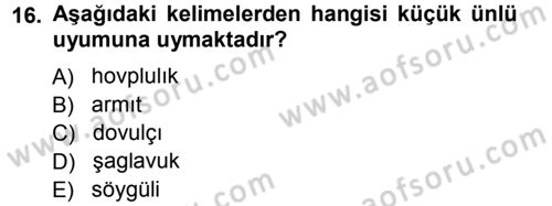 Çağdaş Türk Yazı Dilleri 1 Dersi 2014 - 2015 Yılı Tek Ders Sınav Soruları 16. Soru