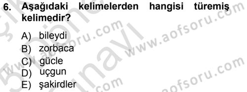 Çağdaş Türk Yazı Dilleri 1 Dersi 2014 - 2015 Yılı Tek Ders Sınav Soruları 6. Soru