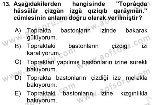 Çağdaş Türk Yazı Dilleri 1 Dersi 2015 - 2016 Yılı Tek Ders Sınav Soruları 13. Soru