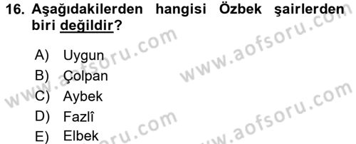 Çağdaş Türk Yazı Dilleri 1 Dersi 2015 - 2016 Yılı Tek Ders Sınav Soruları 16. Soru