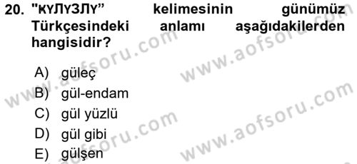Çağdaş Türk Yazı Dilleri 1 Dersi 2016 - 2017 Yılı (Vize) Ara Sınav Soruları 20. Soru