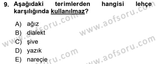 Çağdaş Türk Yazı Dilleri 1 Dersi 2016 - 2017 Yılı (Vize) Ara Sınav Soruları 9. Soru