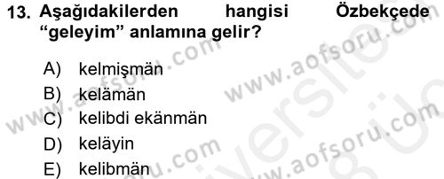 Çağdaş Türk Yazı Dilleri 1 Dersi 2017 - 2018 Yılı 3 Ders Sınav Soruları 13. Soru