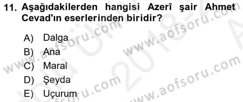 Çağdaş Türk Yazı Dilleri 1 Dersi Ara Sınavı Deneme Sınav Soruları 11. Soru